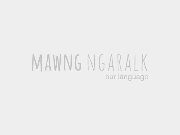 Weyirra la Warruwi kunak