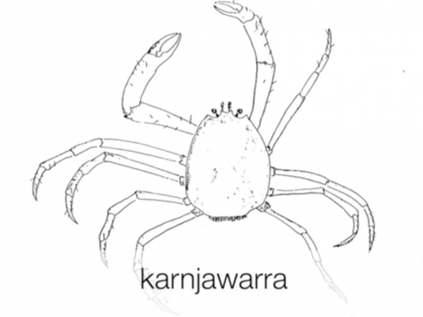 Karnjawarra-Crab Book